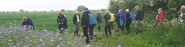 St. James South Elmham